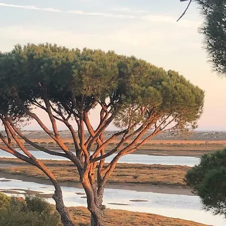 Victory Village, Quinta Do